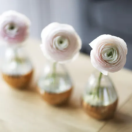 Stadthotel Brunner 4*